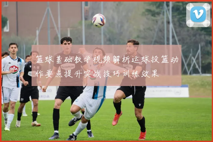 篮球基础教学视频解析运球投篮动作要点提升实战技巧训练效果