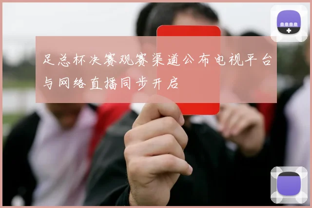 足总杯决赛观赛渠道公布电视平台与网络直播同步开启