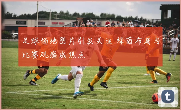 足球场地图片引发关注 绿茵布局与比赛观感成焦点