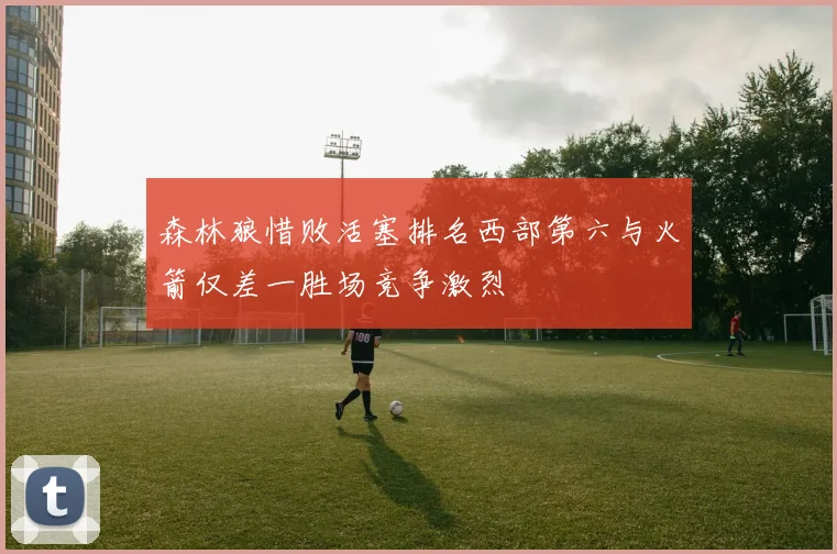森林狼惜败活塞排名西部第六与火箭仅差一胜场竞争激烈